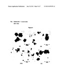 Process for Producing Storage-Stable Seed Crystals of Cocoa Butter and/or     of Chocolate Masses diagram and image