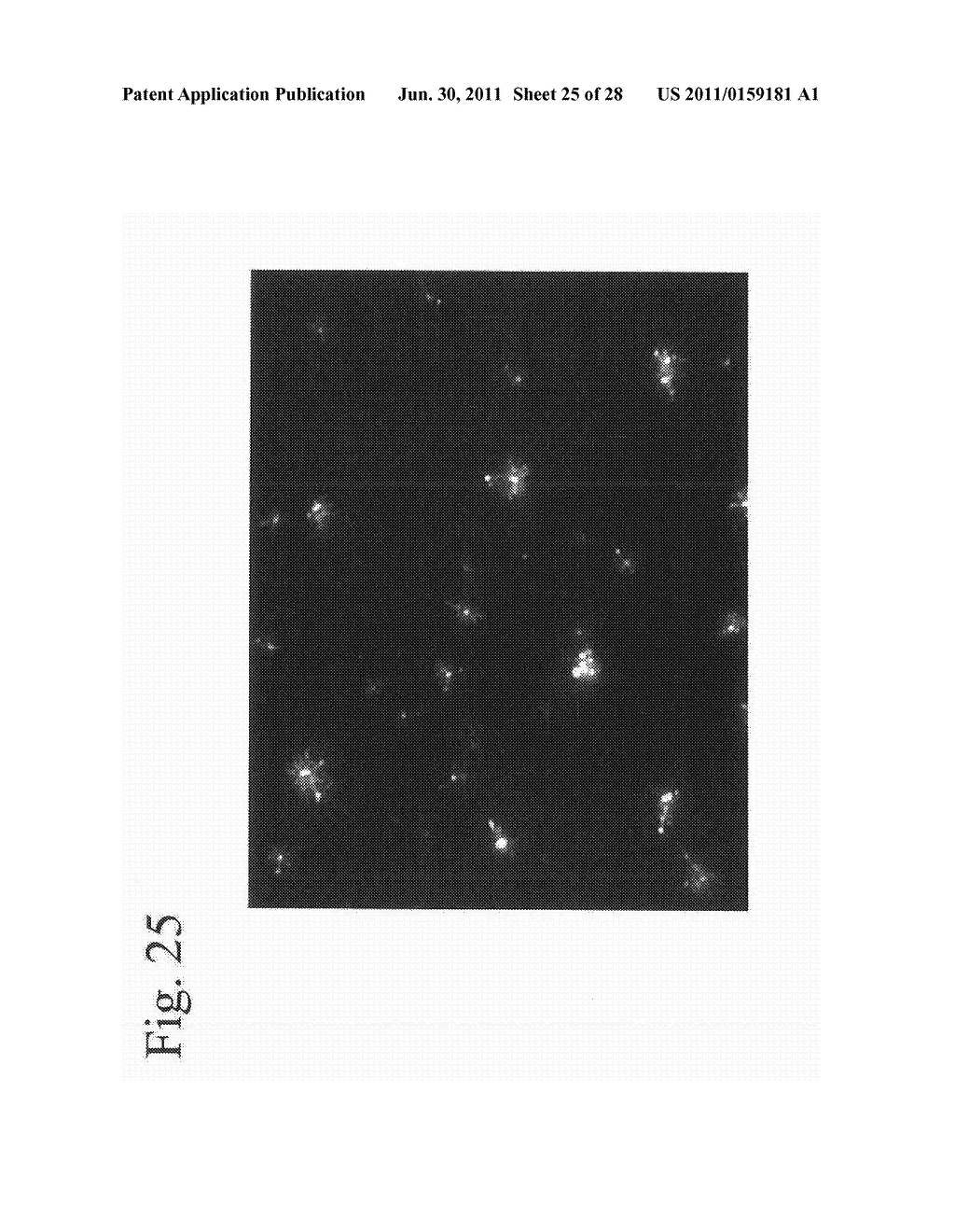 Fine Composite Metal Particles and Their Production Method, Micro-Bodies,     and Magnetic Beads - diagram, schematic, and image 26