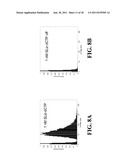 Intermediates And Methods For Forming Passivated Surfaces On Oxide Layers     And Articles Produced Thereby diagram and image