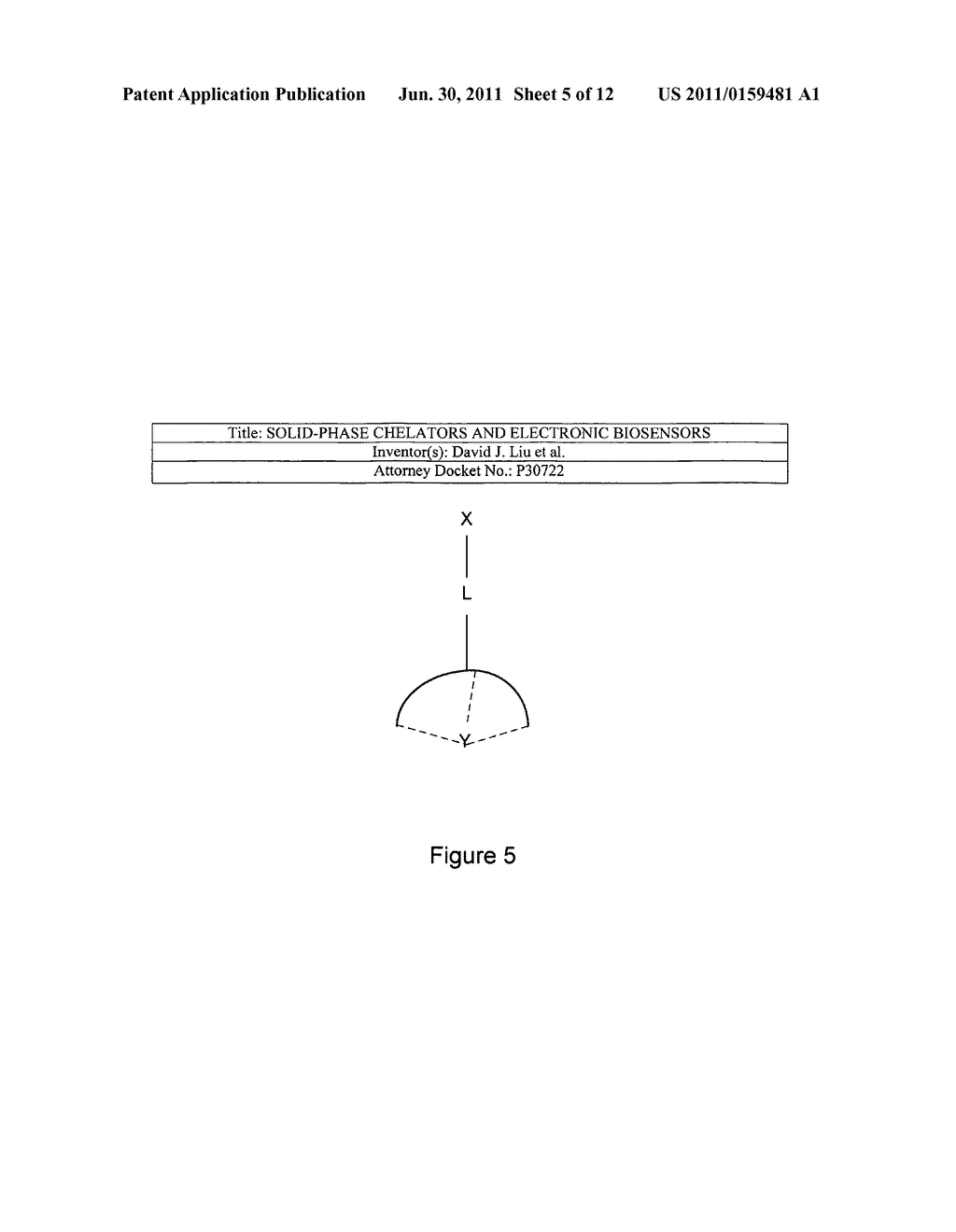 Solid-phase chelators and electronic biosensors - diagram, schematic, and image 06