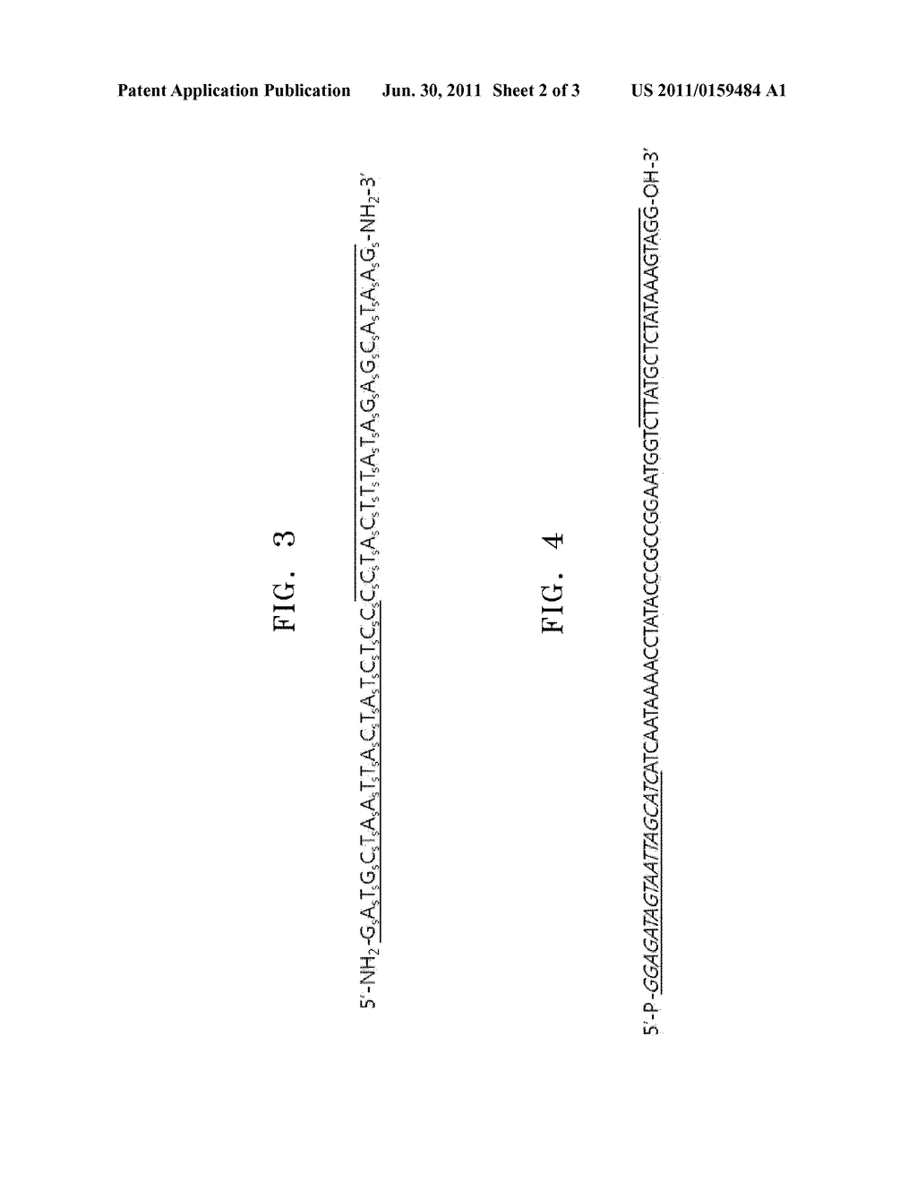 APPARATUS AND METHOD OF AUTHENTICATING PRODUCT USING POLYNUCLEOTIDES - diagram, schematic, and image 03