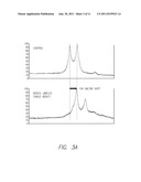 N-TERMINAL SPECIFIC CHEMICAL LABELING FOR PROTEOMICS APPLICATIONS diagram and image