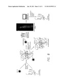 N-TERMINAL SPECIFIC CHEMICAL LABELING FOR PROTEOMICS APPLICATIONS diagram and image