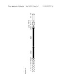 SYNTHETIC PATHWAY ENZYMES FOR THE PRODUCTION OF ARGYRINS diagram and image