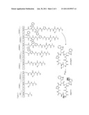 SYNTHETIC PATHWAY ENZYMES FOR THE PRODUCTION OF ARGYRINS diagram and image