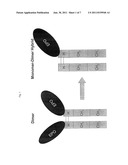 Methods for Chemically Synthesizing Immunoglobulin Chimeric Proteins diagram and image