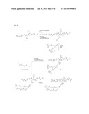 Methods for Chemically Synthesizing Immunoglobulin Chimeric Proteins diagram and image