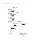 MODIFIED YEAST STRAINS EXHIBITING ENHANCED FERMENTATION OF LIGNOCELLULOSIC     HYDROLYSATES diagram and image