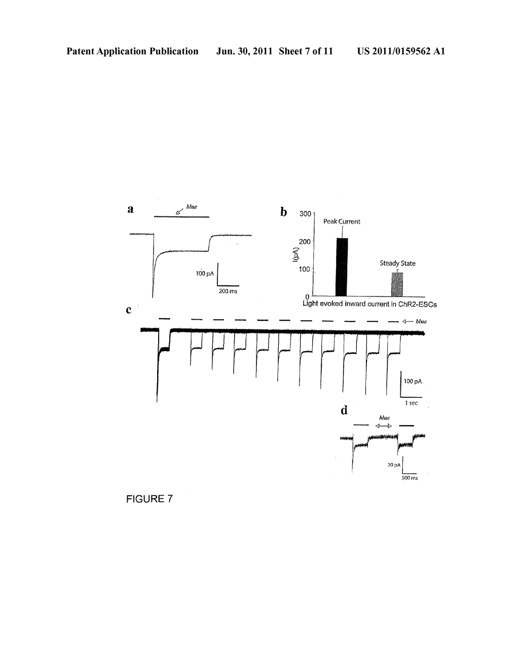 APPARATUS AND METHODS FOR CONTROLLING CELLULAR DEVELOPMENT - diagram, schematic, and image 08