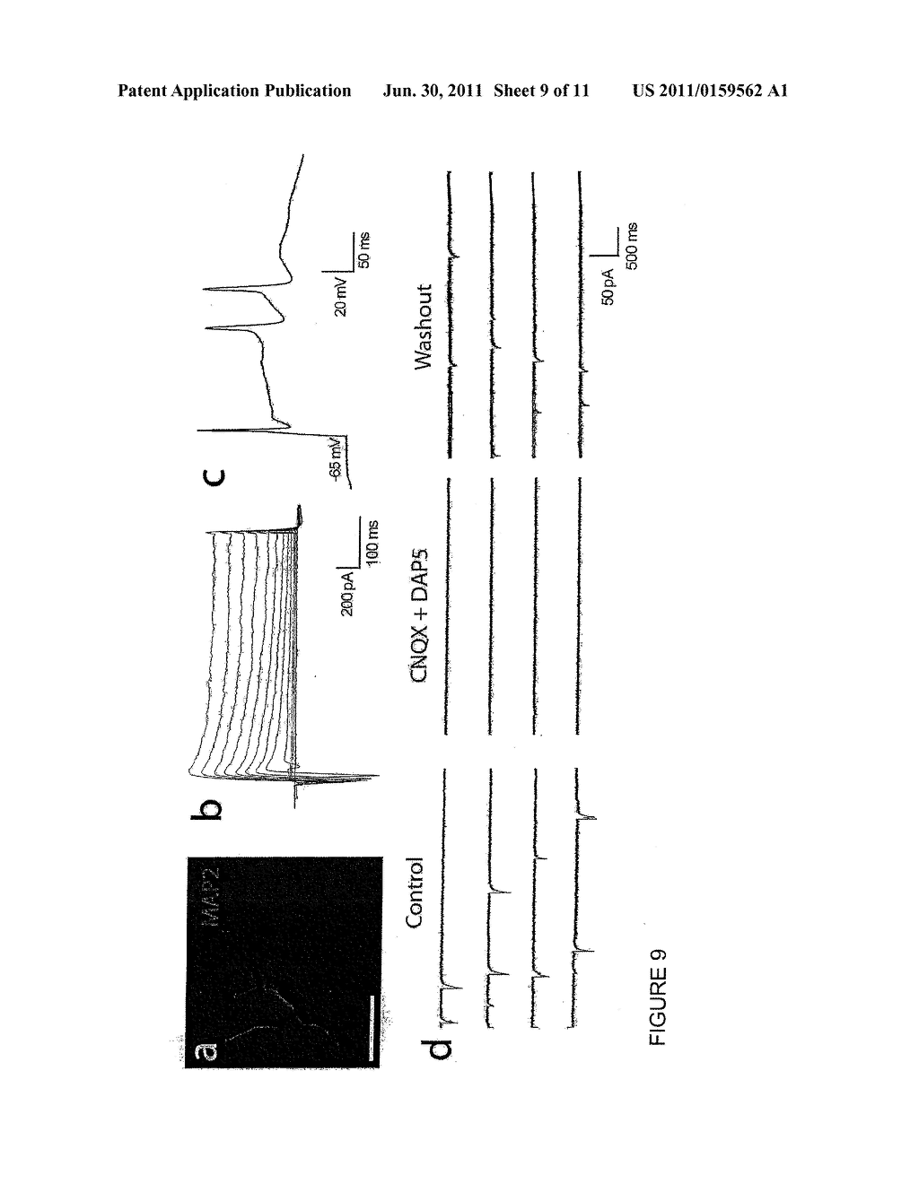 APPARATUS AND METHODS FOR CONTROLLING CELLULAR DEVELOPMENT - diagram, schematic, and image 10