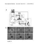 APPARATUS AND METHODS FOR CONTROLLING CELLULAR DEVELOPMENT diagram and image