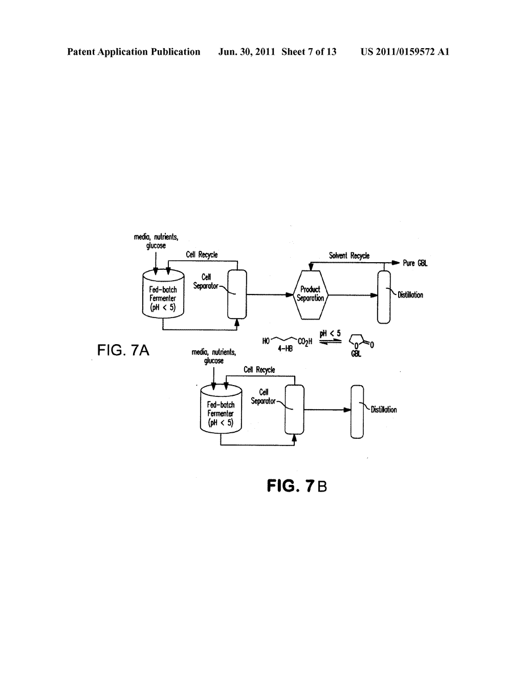 MICROORGANISMS FOR THE PRODUCTION OF 1,4-BUTANEDIOL - diagram, schematic, and image 08