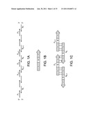 Novel Proteins and Methods for Designing the Same diagram and image