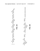 Novel Proteins and Methods for Designing the Same diagram and image