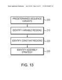 Novel Proteins and Methods for Designing the Same diagram and image