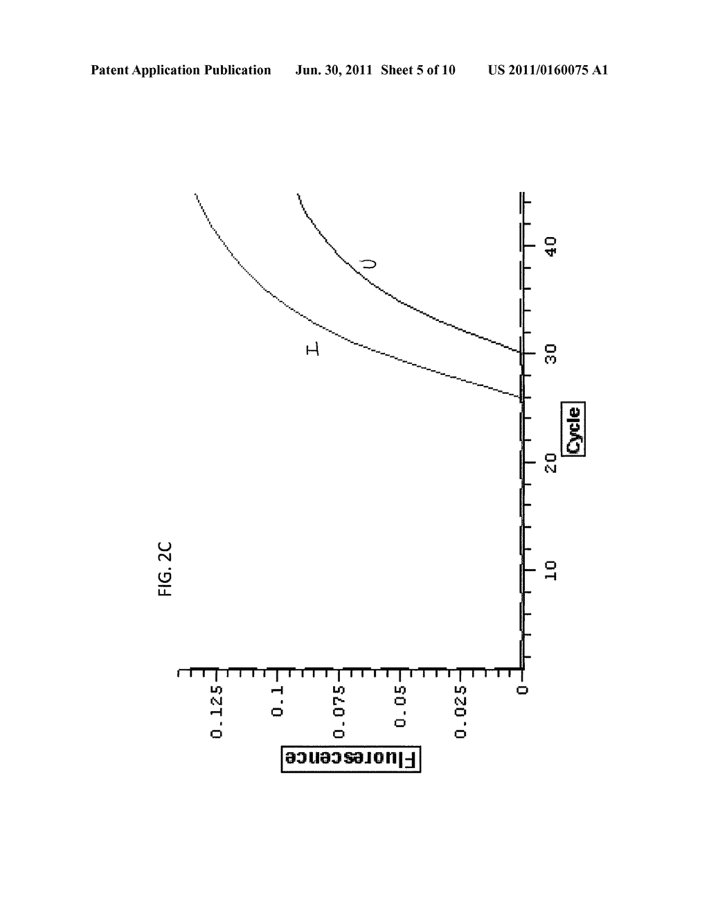 Diagnostic assay for orientia tsutsugamushi by detection of responsive     gene expression - diagram, schematic, and image 06