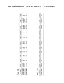 Methods for producing uniquely specific nucleic acid probes diagram and image