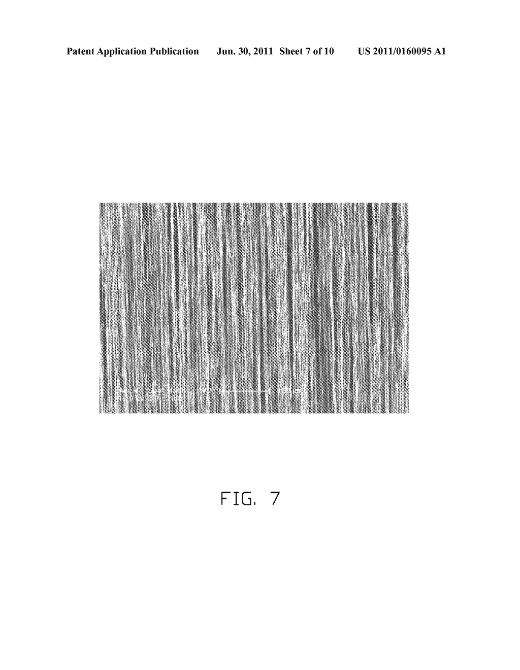 CARBON NANOTUBE PRECURSOR - diagram, schematic, and image 08