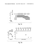 ANTI-INFLAMMATORY COMPOUNDS AND USES THEREOF diagram and image