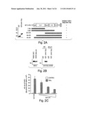 ANTI-INFLAMMATORY COMPOUNDS AND USES THEREOF diagram and image