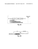 ANTI-INFLAMMATORY COMPOUNDS AND USES THEREOF diagram and image