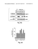 ANTI-INFLAMMATORY COMPOUNDS AND USES THEREOF diagram and image