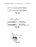 ANTI-INFLAMMATORY COMPOUNDS AND USES THEREOF diagram and image