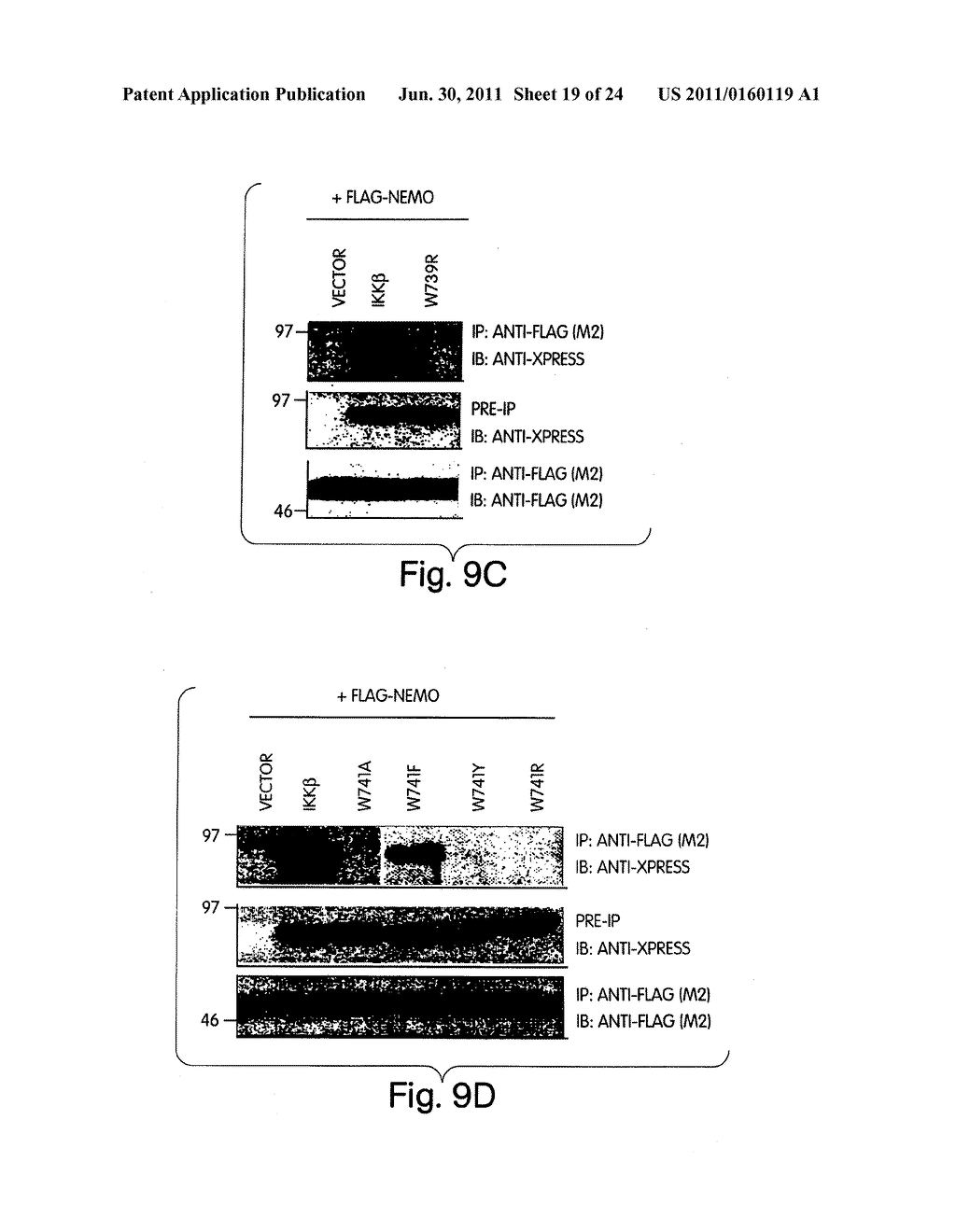 ANTI-INFLAMMATORY COMPOUNDS AND USES THEREOF - diagram, schematic, and image 20