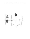 METHODS FOR HEAT SHOCK PROTEIN DEPENDENT CANCER TREATMENT diagram and image