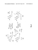 METHODS FOR HEAT SHOCK PROTEIN DEPENDENT CANCER TREATMENT diagram and image