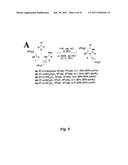 METHODS FOR HEAT SHOCK PROTEIN DEPENDENT CANCER TREATMENT diagram and image