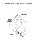 18,21-Didesoxymacbecin Derivatives for the Treatment of Cancer diagram and image