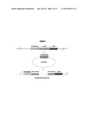 18,21-Didesoxymacbecin Derivatives for the Treatment of Cancer diagram and image