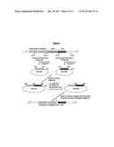 18,21-Didesoxymacbecin Derivatives for the Treatment of Cancer diagram and image