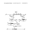 18,21-Didesoxymacbecin Derivatives for the Treatment of Cancer diagram and image