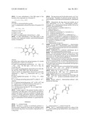 BIARYL AMINO ACIDS AND THEIR USE IN DNA BINDING OLIGOMERS diagram and image