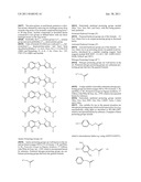 BIARYL AMINO ACIDS AND THEIR USE IN DNA BINDING OLIGOMERS diagram and image