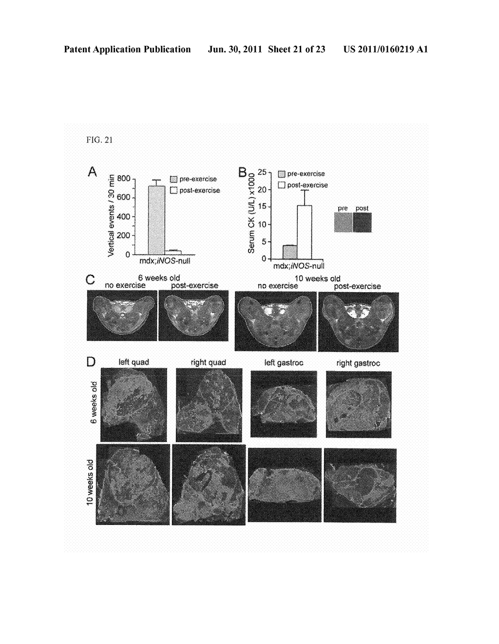 Inhibitors of Phosphodiesterase Type 5A for Treating or Preventing Muscle     Disease or the Symptoms Thereof in a Patient - diagram, schematic, and image 22