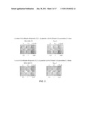 Purified Pyrroloquinolinyl-Pyrrolidine-2,5-Dione Compositions And Methods     For Preparing And Using Same diagram and image