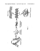 Neurodegenerative Protein Aggregation Inhibition Methods and Compounds diagram and image