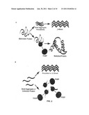Neurodegenerative Protein Aggregation Inhibition Methods and Compounds diagram and image