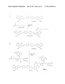 Neurodegenerative Protein Aggregation Inhibition Methods and Compounds diagram and image