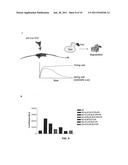 Neurodegenerative Protein Aggregation Inhibition Methods and Compounds diagram and image