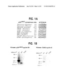 Methods For Selectively Modulating Survivin Apoptosis Pathways diagram and image