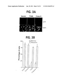 Methods For Selectively Modulating Survivin Apoptosis Pathways diagram and image