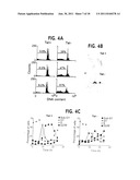 Methods For Selectively Modulating Survivin Apoptosis Pathways diagram and image
