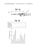 Methods For Selectively Modulating Survivin Apoptosis Pathways diagram and image