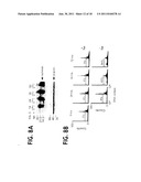 Methods For Selectively Modulating Survivin Apoptosis Pathways diagram and image