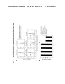 SUPERCOILED MINICIRCLE DNA FOR GENE THERAPY APPLICATIONS diagram and image