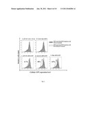 SUPERCOILED MINICIRCLE DNA FOR GENE THERAPY APPLICATIONS diagram and image